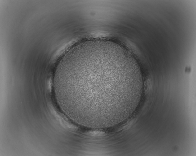 X0000111470644200907201137