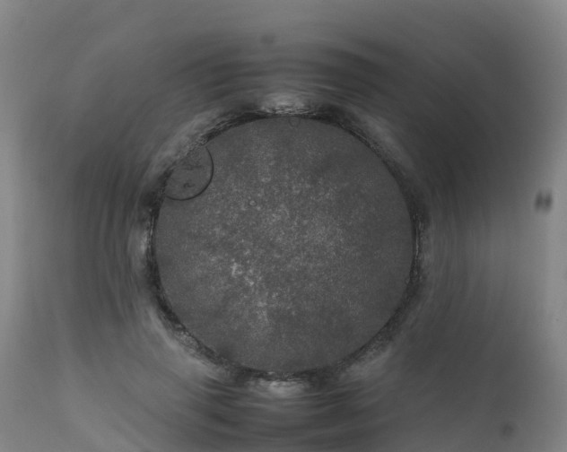 X0000111470645200907201137