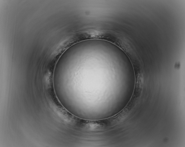 X0000111470650200907201137