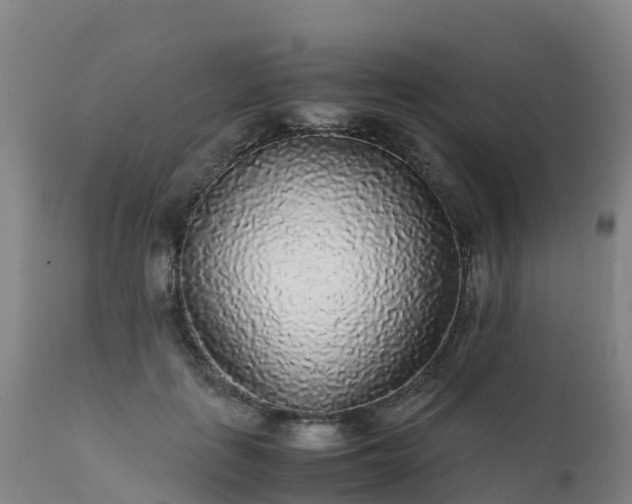 X0000111470651200907201137