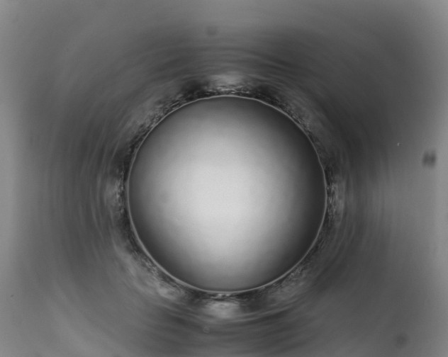 X0000111470653200907201137