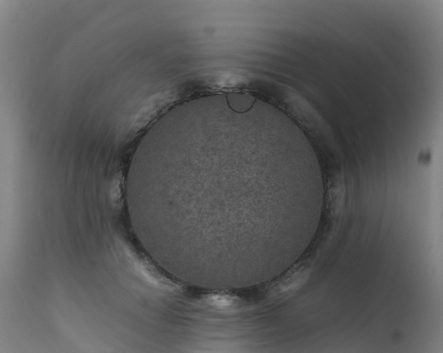 X0000111470654200907201138