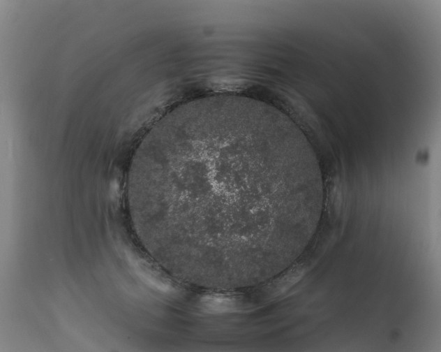 X0000111470655200907201138