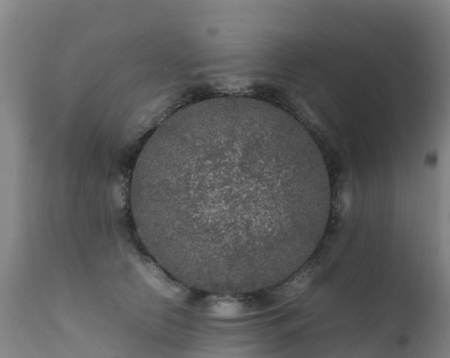 X0000111470658200907201138