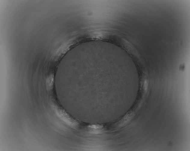 X0000111470660200907201138