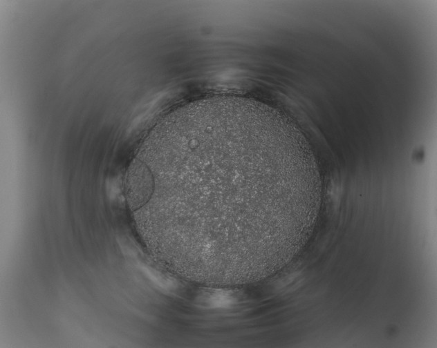 X0000111470663200907201138