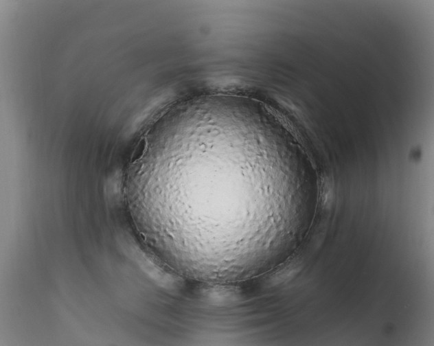 X0000111470670200907201138