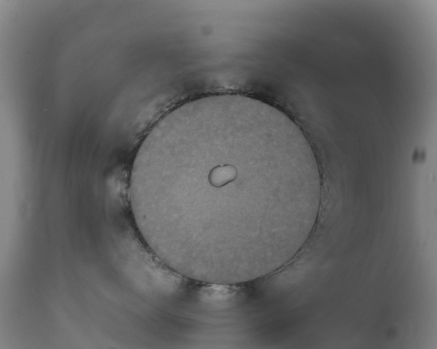 X0000111470672200907201138