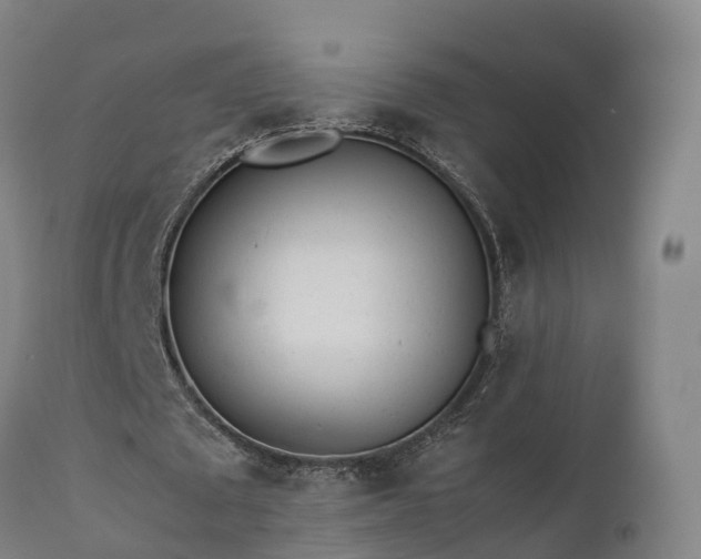 X0000111470673200907201137