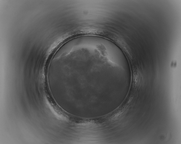 X0000111470674200907201137