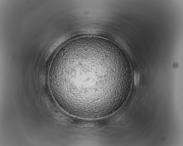 X0000111470675200907201137