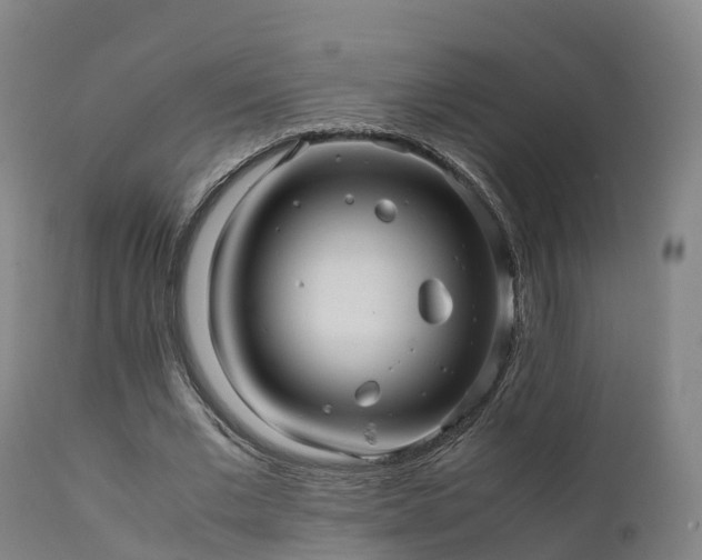 X0000111470677200907201137