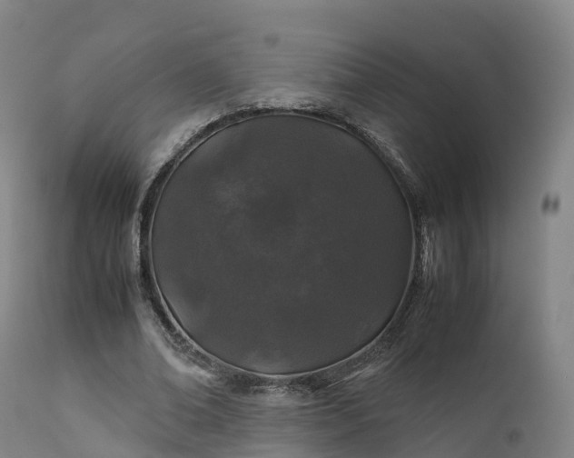 X0000111470678200907201137