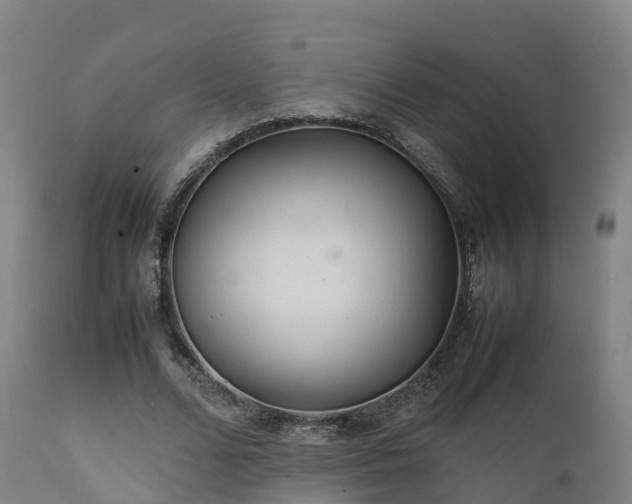 X0000111470680200907201137