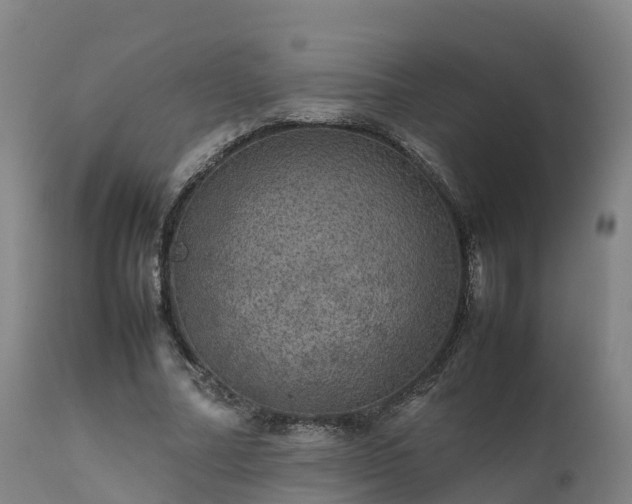 X0000111470682200907201137