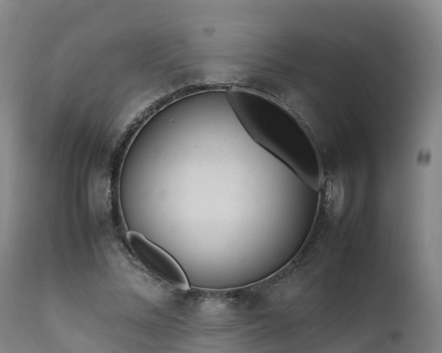 X0000111470684200907201137