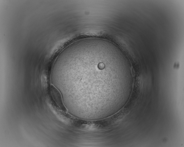 X0000111470688200907201137