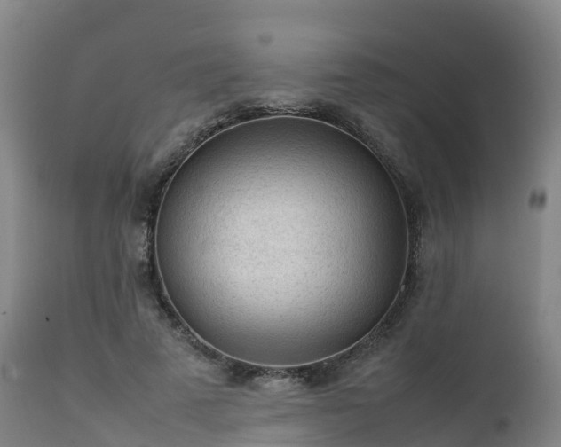 X0000111470689200907201137