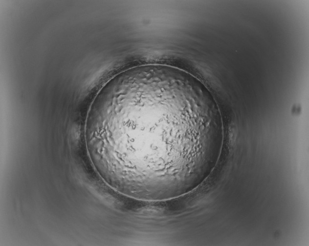 X0000111470691200907201137