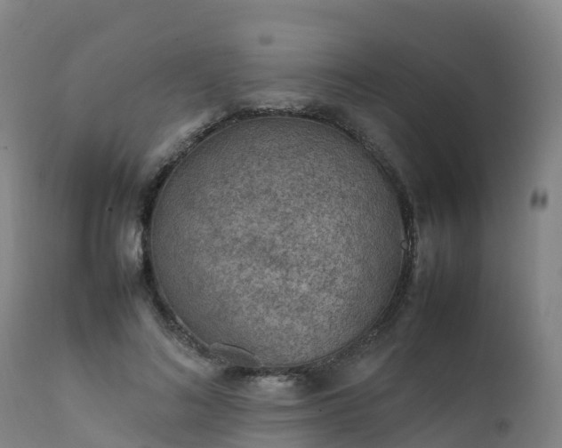 X0000111470692200907201137