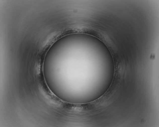 X0000111470694200907201137