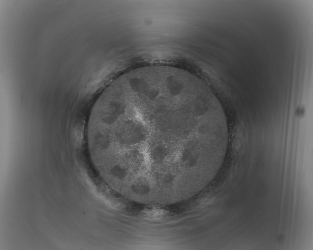 X0000111470695200907201137