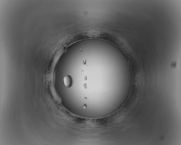 X0000111470697200907201137