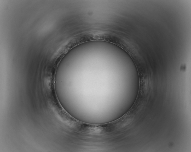 X0000111470698200907201137