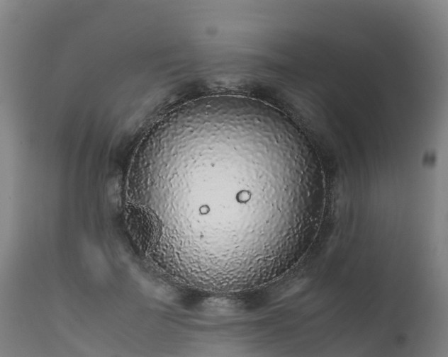 X0000111470699200907201137