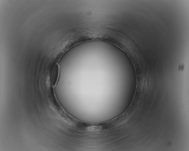 X0000111470700200907201137