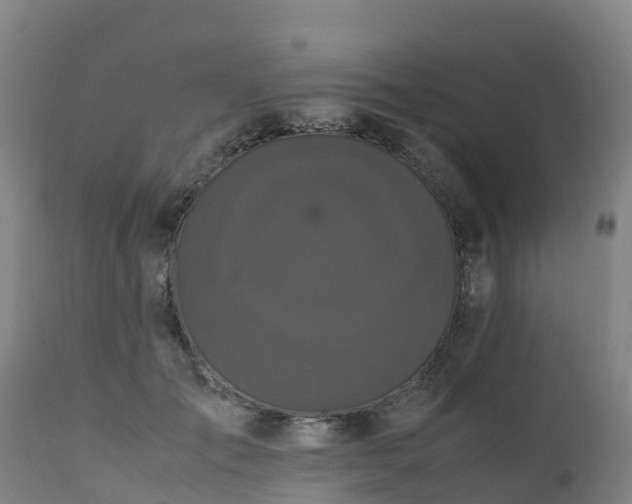 X0000111470701200907201137