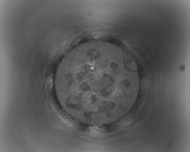 X0000111470703200907201137