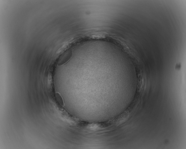 X0000111470704200907201137