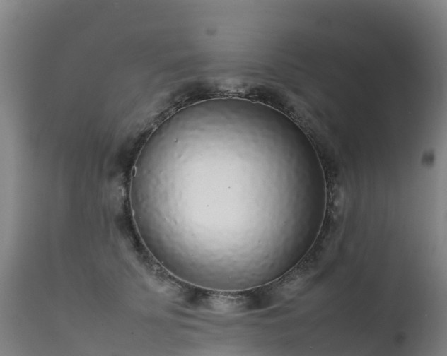 X0000111470707200907201137