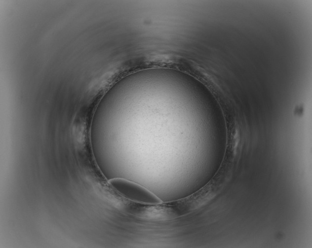 X0000111470708200907201137