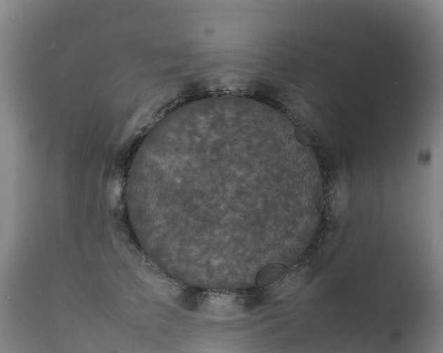 X0000111470709200907201137