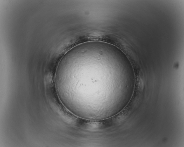 X0000111470711200907201137