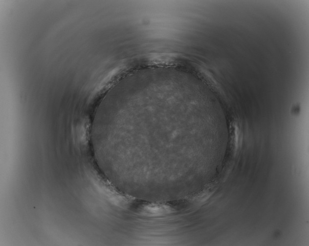 X0000111470712200907201136