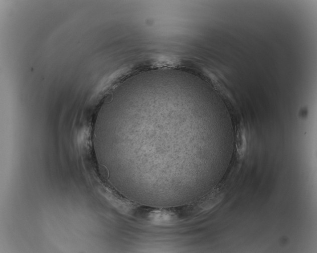 X0000111470714200907201136