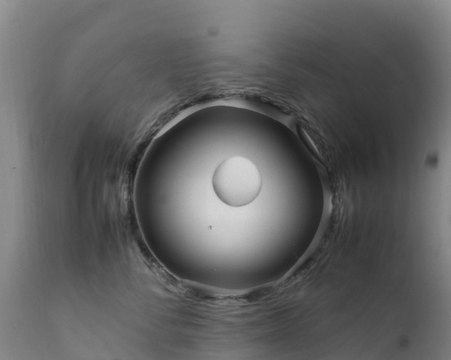 X0000111470716200907201136