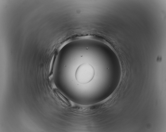 X0000111470720200907201136