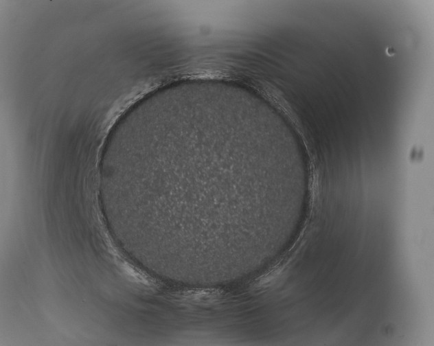 X0000111470721200907201135