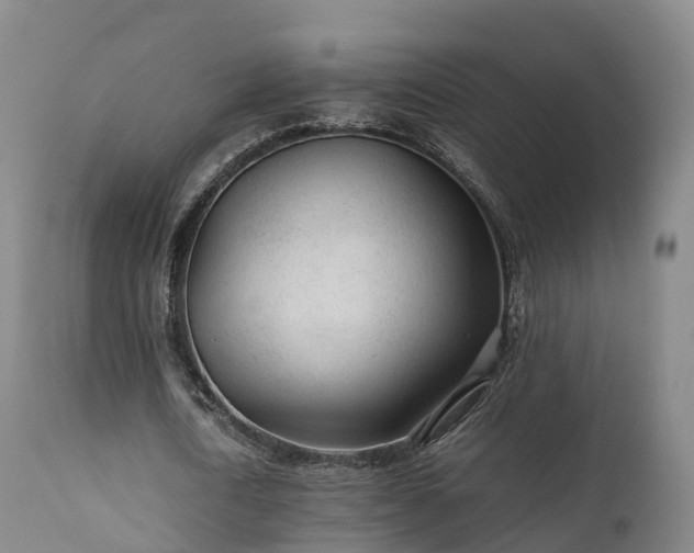 X0000111470722200907201135