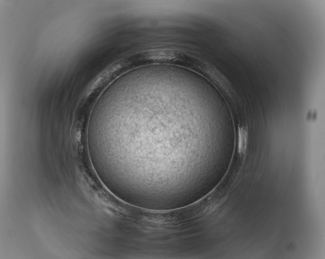 X0000111470723200907201135