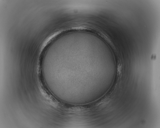 X0000111470724200907201136