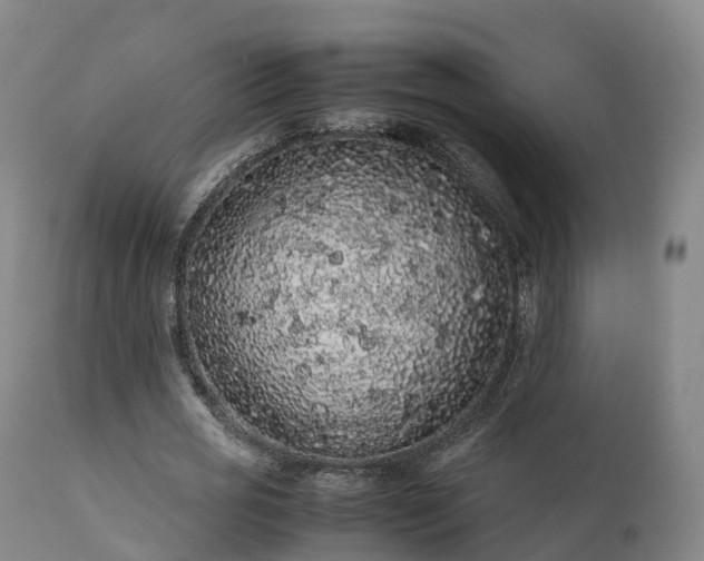 X0000111470725200907201136