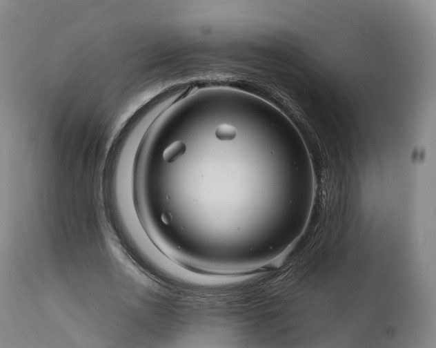 X0000111470726200907201136