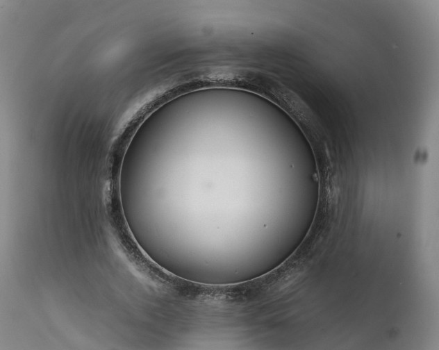 X0000111470728200907201136