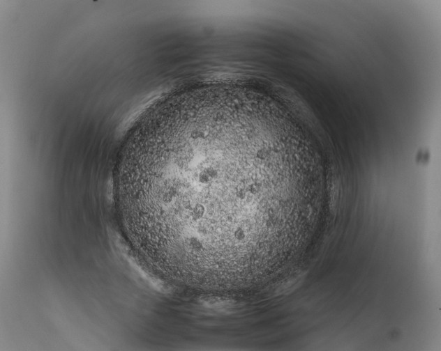 X0000111470729200907201136