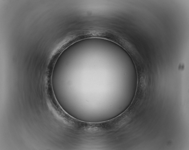 X0000111470730200907201136